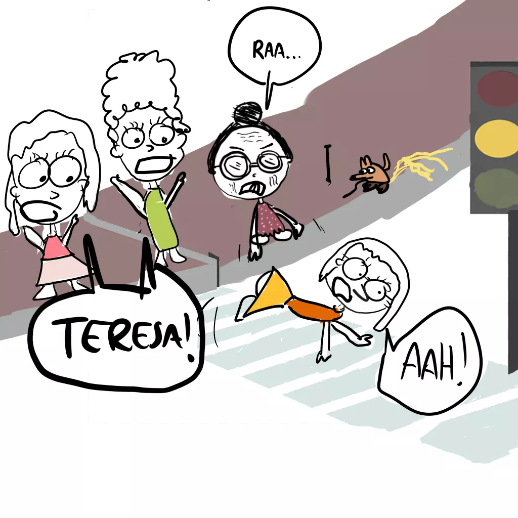 primera regla